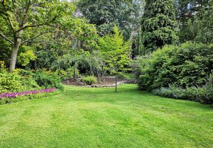 Optimiser l'expérience du jardin à Montmirey-la-Ville